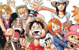 One Piece my family